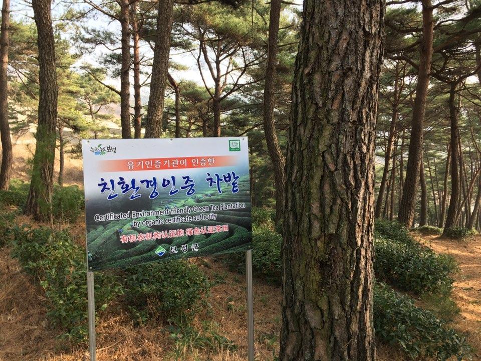 Korean Traditional House - Chungnokdang Ξενοδοχείο Boseong Εξωτερικό φωτογραφία