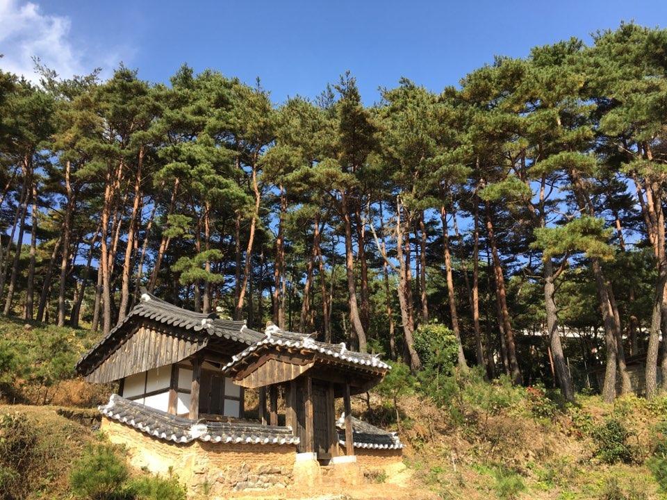 Korean Traditional House - Chungnokdang Ξενοδοχείο Boseong Εξωτερικό φωτογραφία